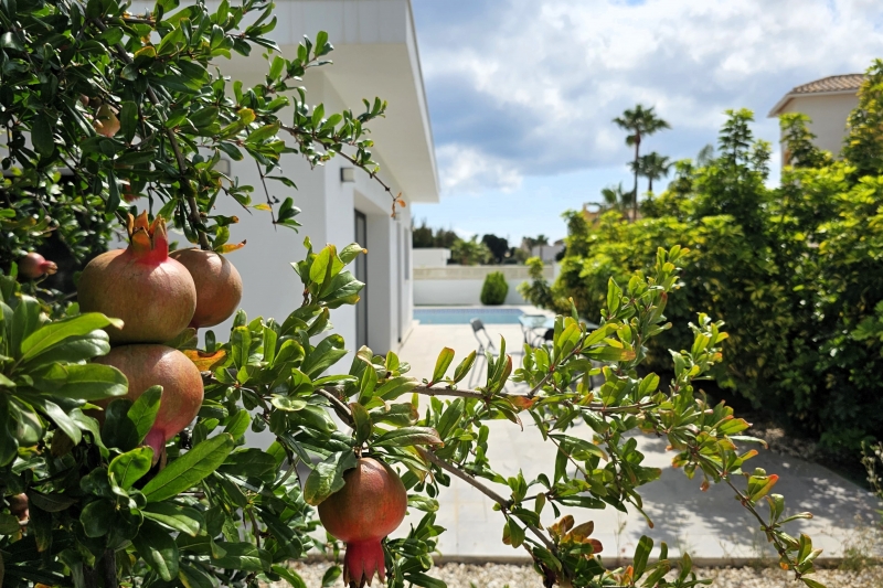 Villa en Venta en Calpe