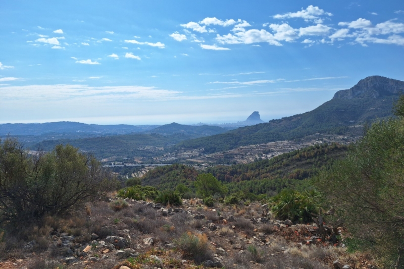 Rustic Finca en Venta en Benissa