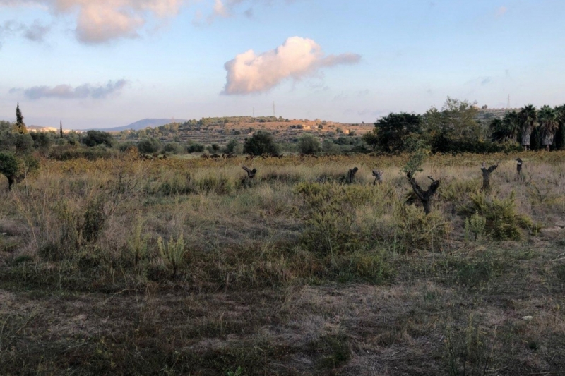 Parcela en Venta en Benissa
