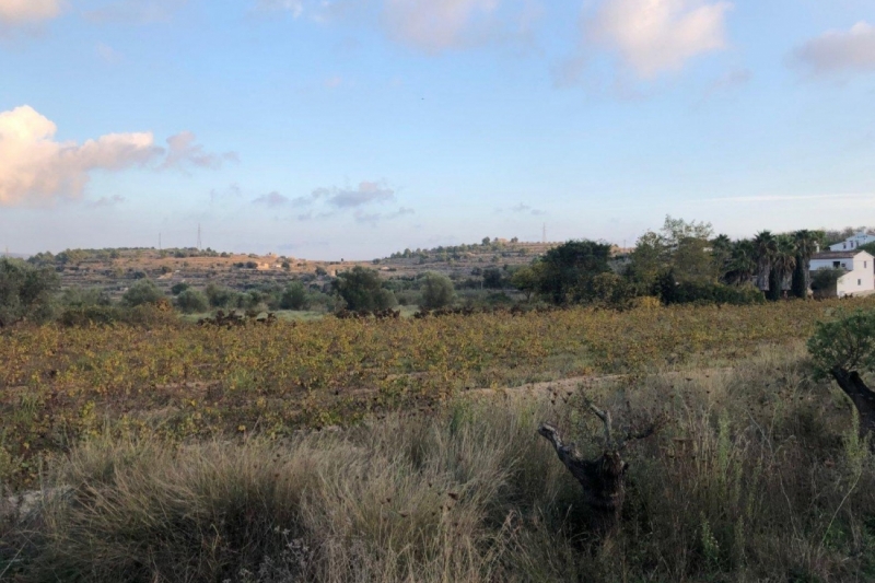 Parcela en Venta en Benissa
