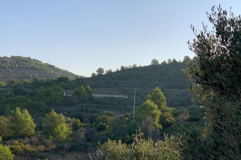 Rustic Finca en Venta en Senija