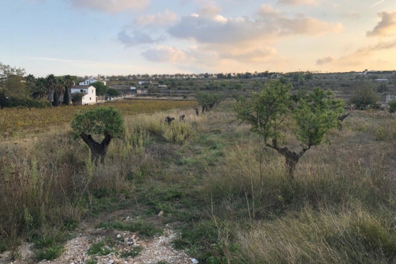 Parcela en Venta en Benissa