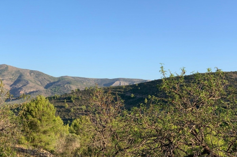Rustic Finca en Venta en Senija